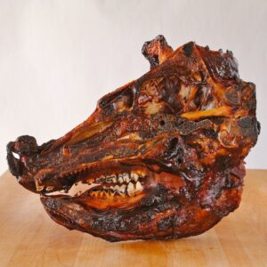 Burnt Pig Head