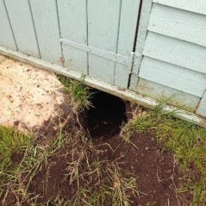 Under A Shed